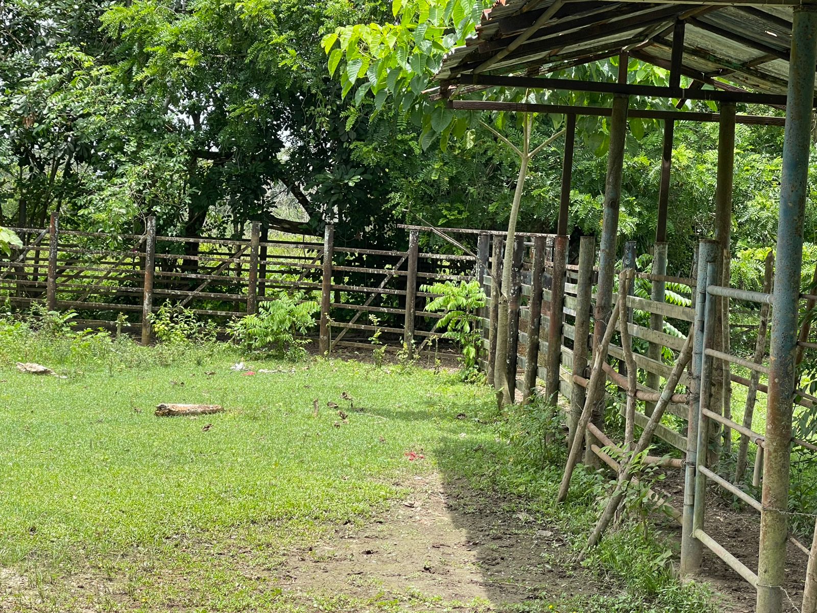 Vendo Finca de 1650 tareas en Santo Domingo Norte a la Orilla del ASFA Foto 7294776-14.jpg