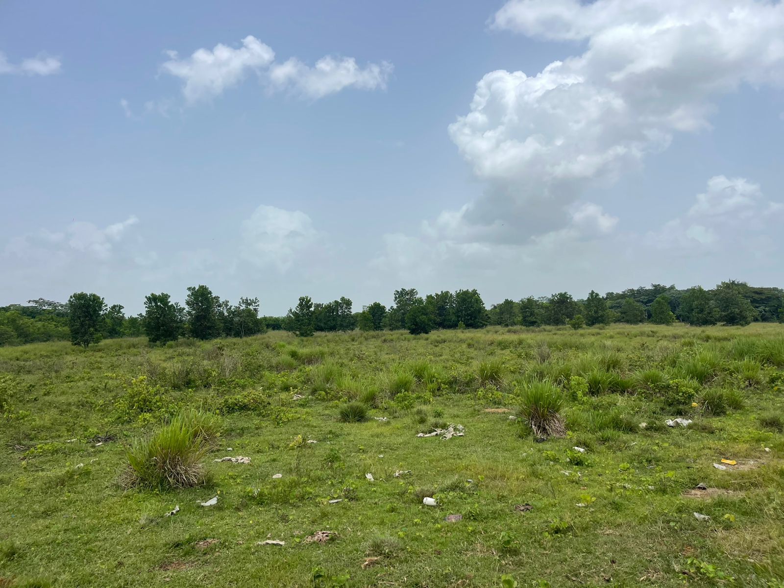 Vendo Finca de 1650 tareas en Santo Domingo Norte a la Orilla del ASFA Foto 7294776-15.jpg