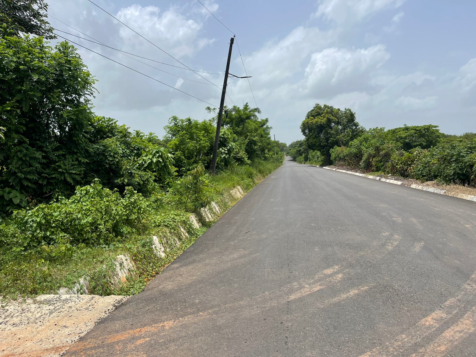 Vendo Finca de 1650 tareas en Santo Domingo Norte a la Orilla del ASFA Foto 7294776-9.jpg