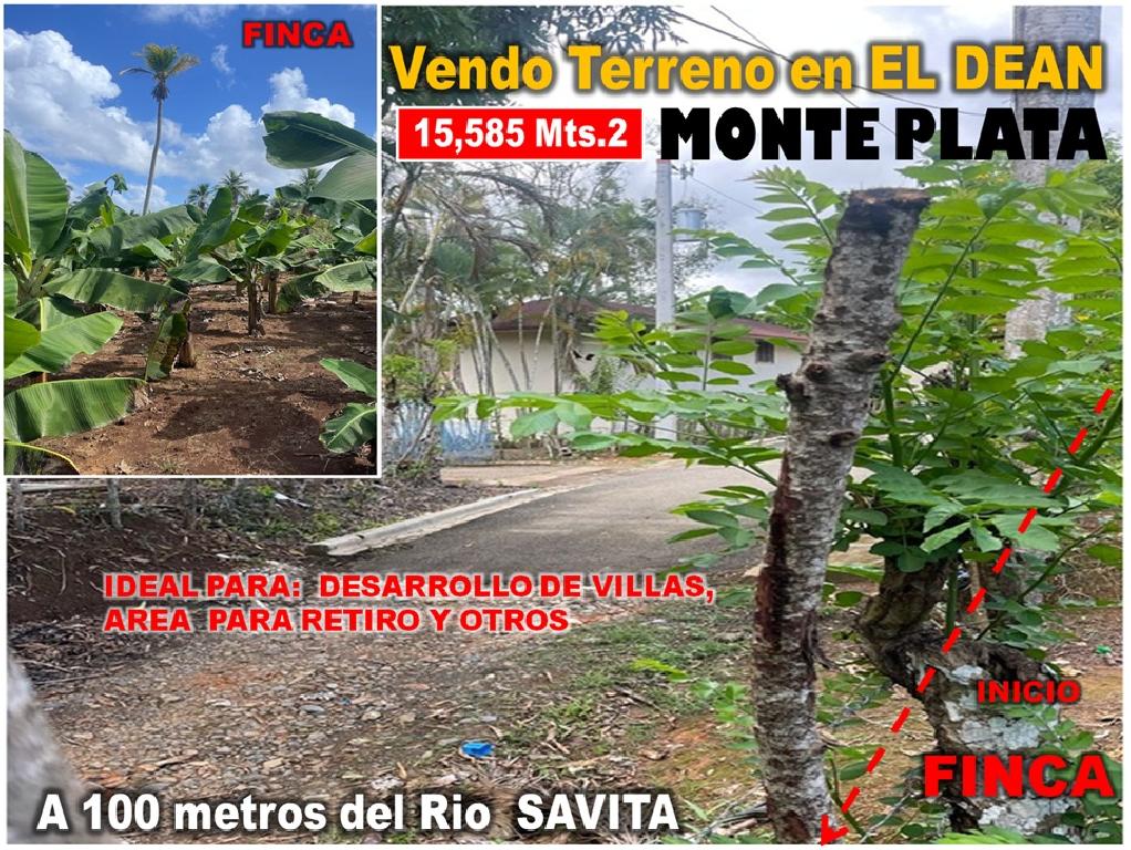 Vendo 15585 Mts.2 SEMBRADO DE PLATANOS y dentro del Pueblo del DEAN Mo Foto 7294965-1.jpg