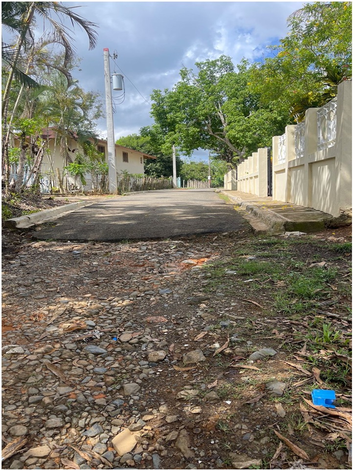 Vendo 15585 Mts.2 SEMBRADO DE PLATANOS y dentro del Pueblo del DEAN Mo Foto 7294965-12.jpg
