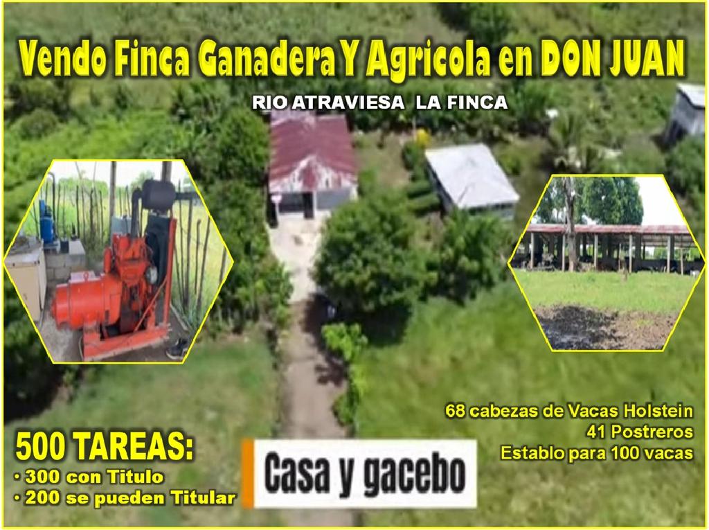 Vendo SUPER Finca Ganadera y Agrícola  de 500 Tareas en Don Juan Monte Foto 7296225-1.jpg