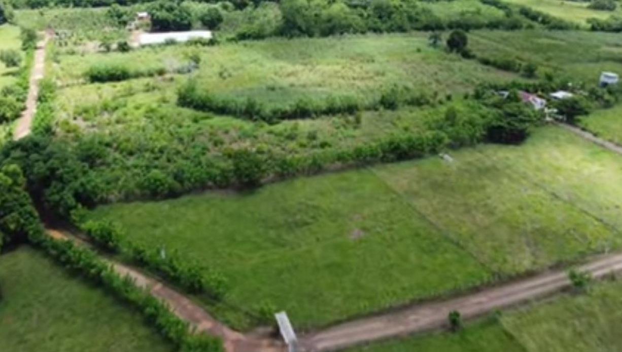 Vendo SUPER Finca Ganadera y Agrícola  de 500 Tareas en Don Juan Monte Foto 7296225-4.jpg