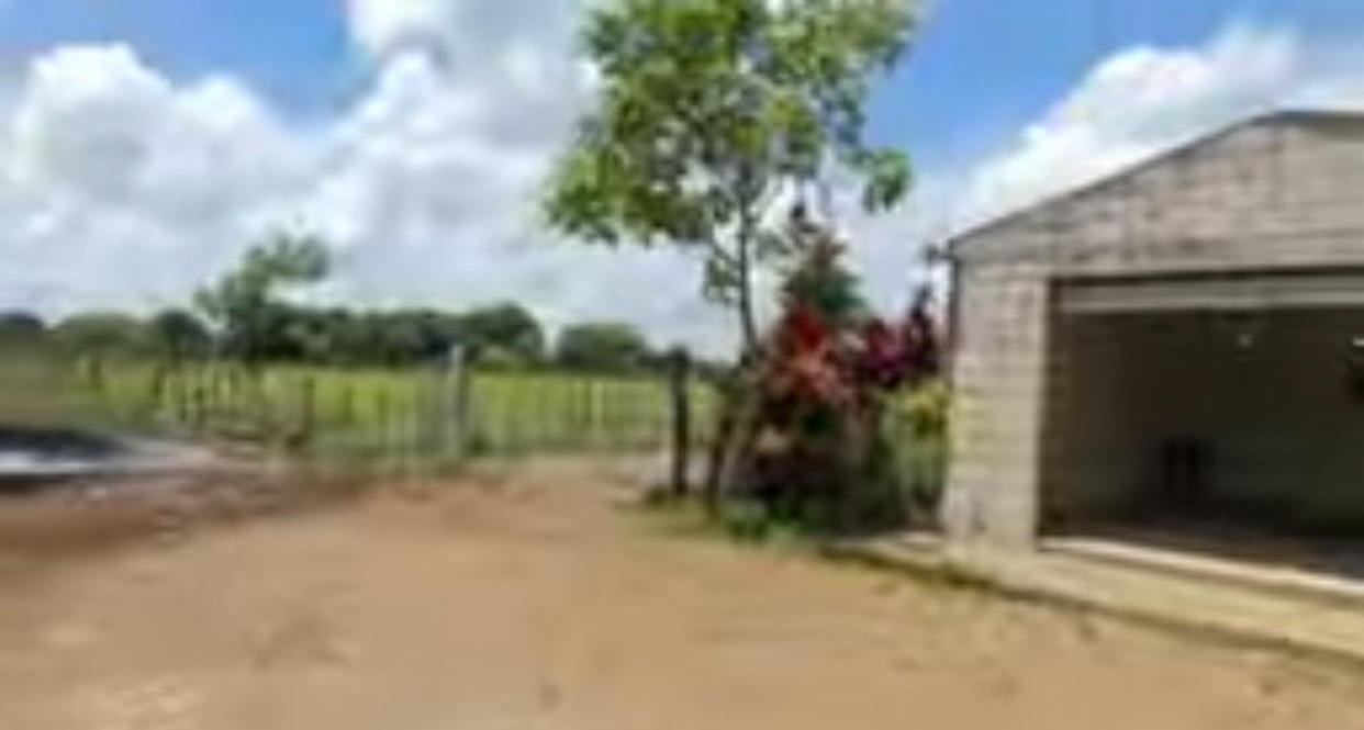 Vendo SUPER Finca Ganadera y Agrícola  de 500 Tareas en Don Juan Monte Foto 7296225-7.jpg