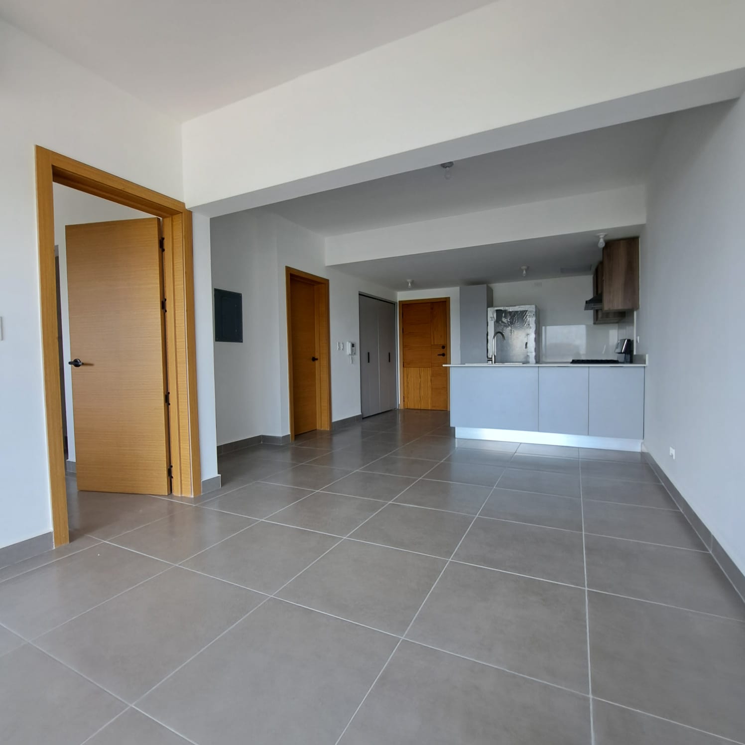 Apartamento con Línea Blanca en Alquiler en Gazcue Foto 7298031-2.jpg