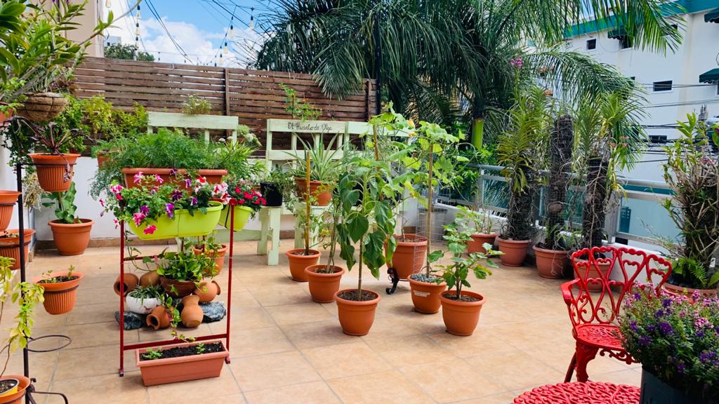 HERMOSO APARTAMENTO EN ALQUILER EN RENACIMIENTO Foto 7299803-1.jpg