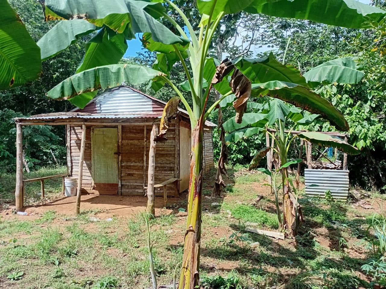 Finca de 750 tareas agrícolas con casa y granja de pollo en Monte Plat Foto 7300444-5.jpg
