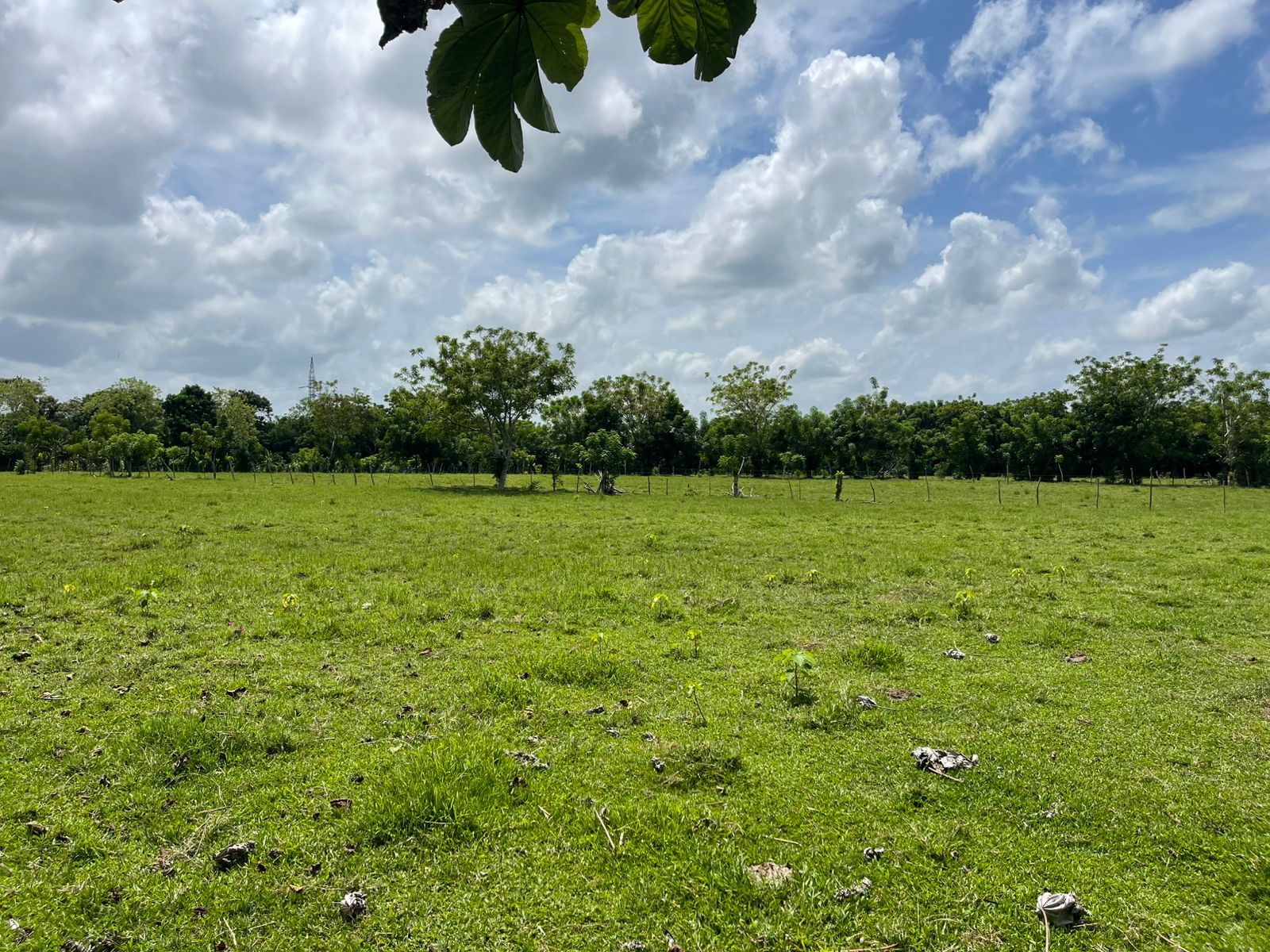 Finca de 96 tareas ganaderas y agrícolas con hermoso río totalmente ll Foto 7300445-11.jpg