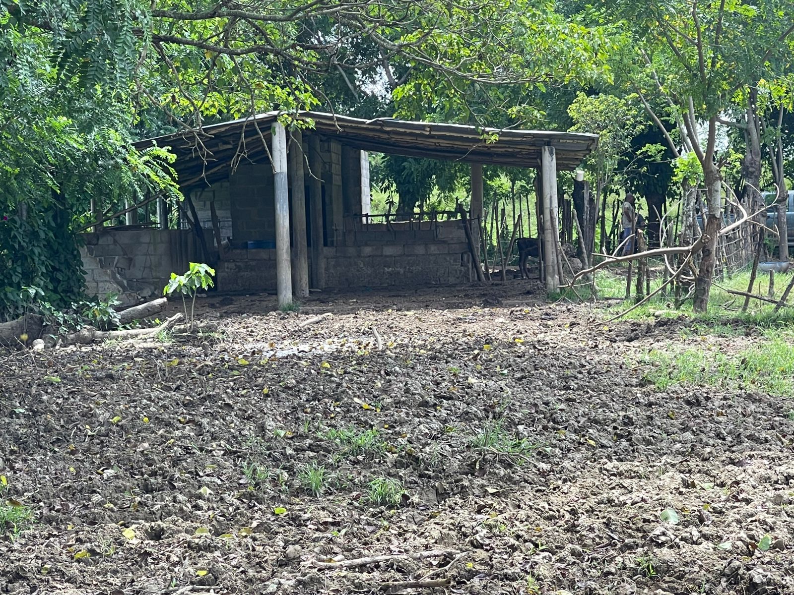 Finca de 96 tareas ganaderas y agrícolas con hermoso río totalmente ll Foto 7300445-8.jpg