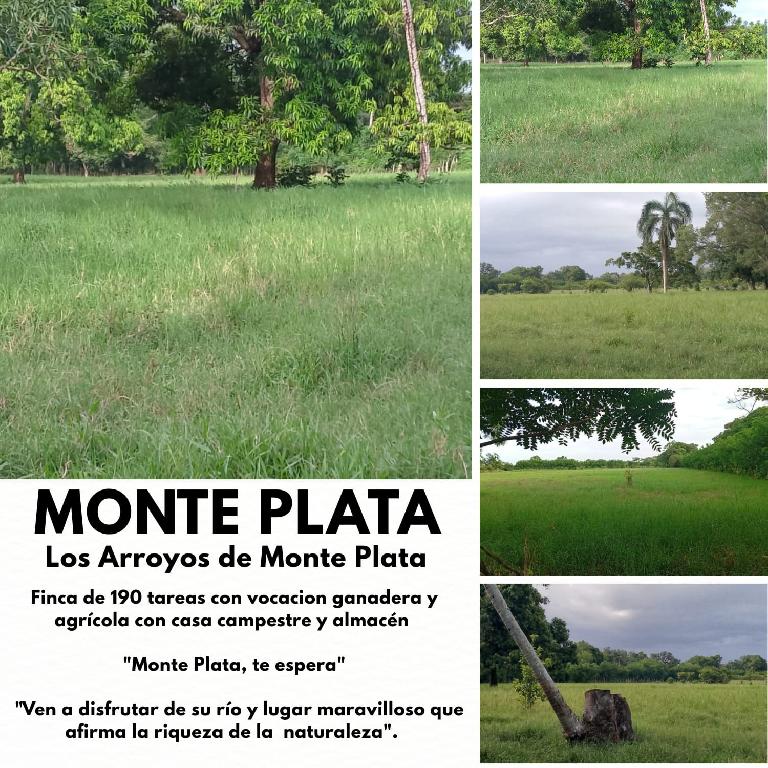 Finca de 190 tareas con vocación agrícola y ganadera con casa y almacé Foto 7300446-1.jpg