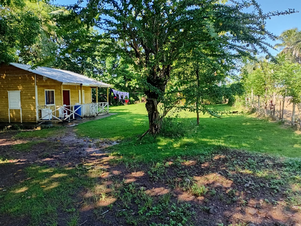 Finquita de 3 tareas con casa campestre de maderas en Monte Plata Foto 7300457-3.jpg
