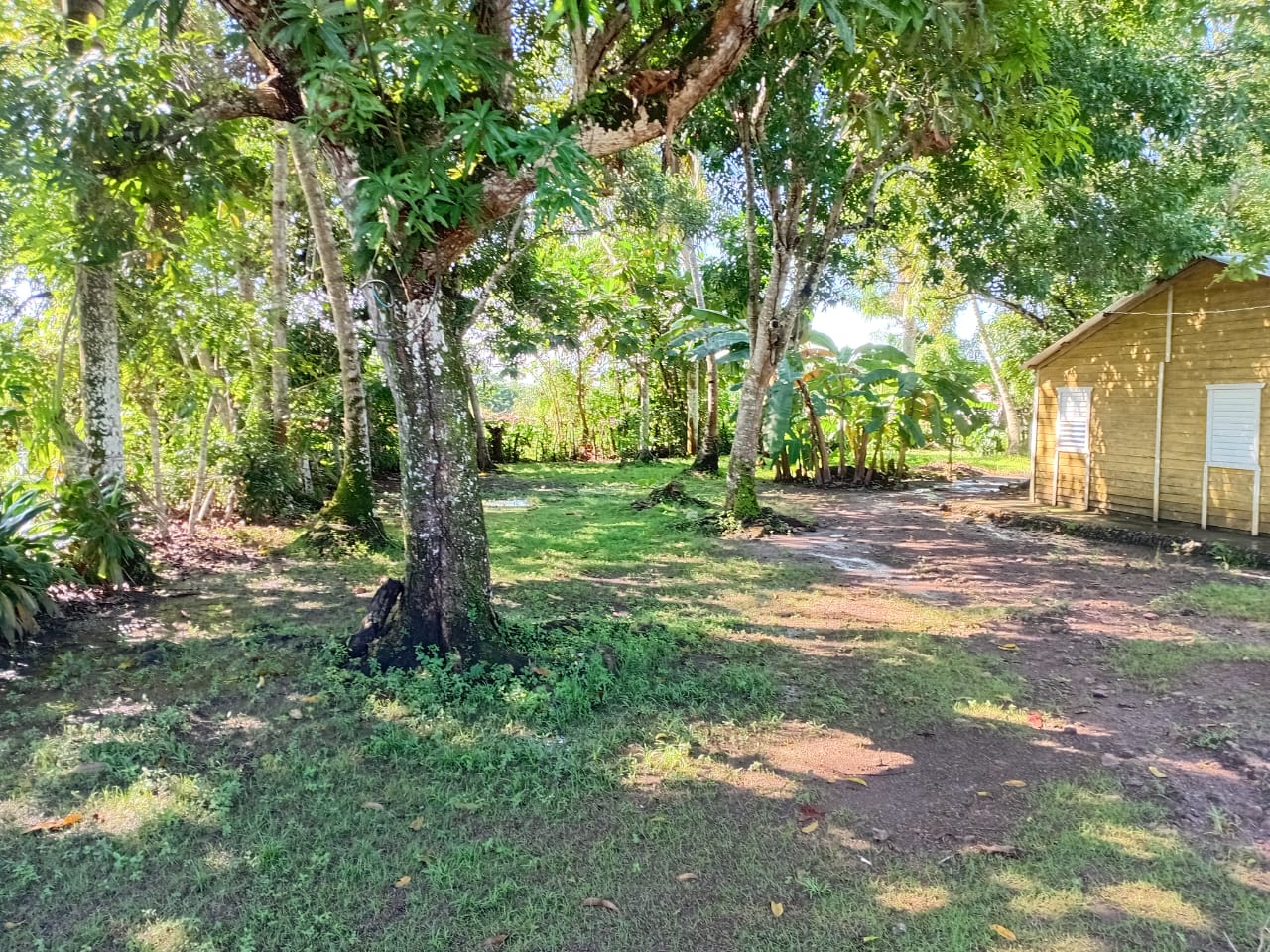 Finquita de 3 tareas con casa campestre de maderas en Monte Plata Foto 7300457-5.jpg