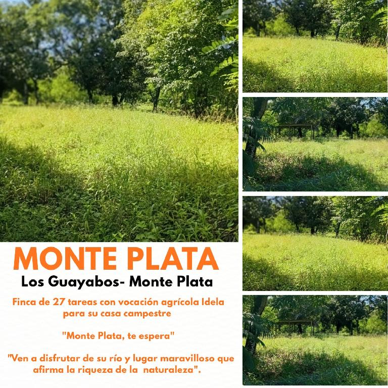 Finca de 27 tareas con vocación agrícola ideal para su casa campestre  Foto 7300460-1.jpg