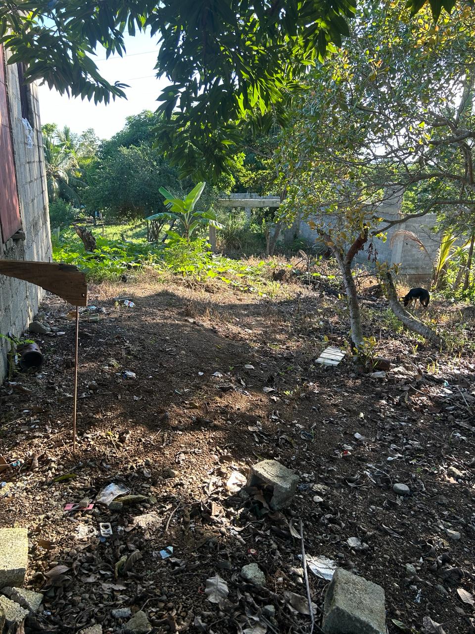 TERRENO CON MULTIPLES POSIBILIDADES. Foto 7300466-2.jpg