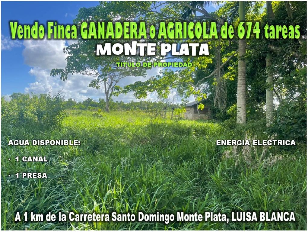 Vendo Finca GANADERA o AGRICOLA  de 674 TAREAS en LUISA BLANCA Monte P Foto 7303051-1.jpg
