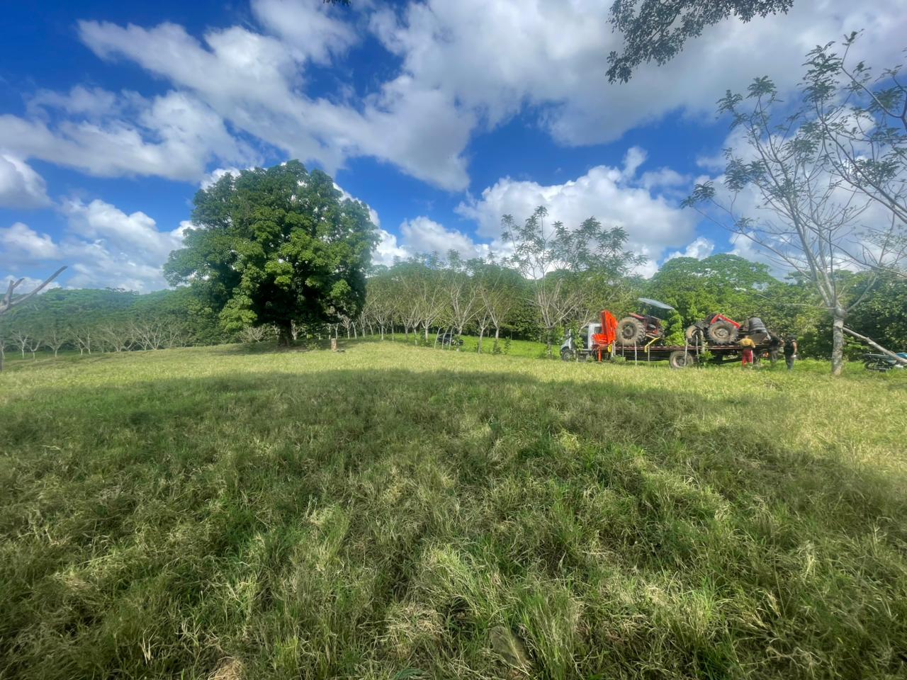 Vendo Finca GANADERA o AGRICOLA  de 674 TAREAS en LUISA BLANCA Monte P Foto 7303051-9.jpg