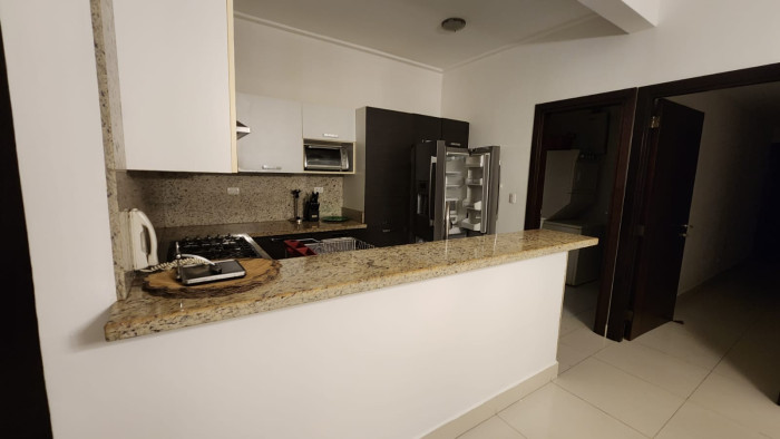 Venta o Alquiler apartamento amueblado en Naco Foto 7304031-13.jpg