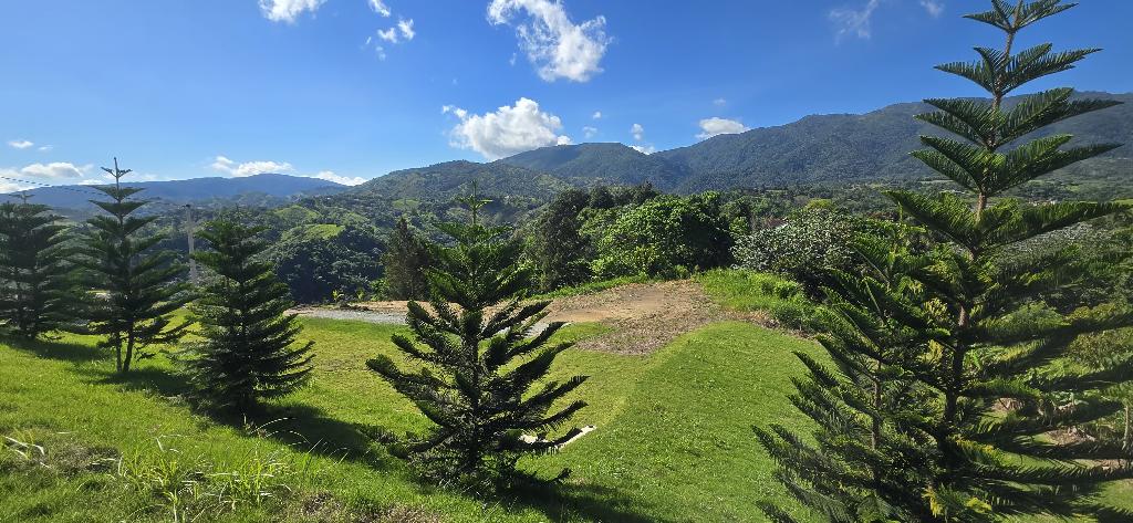 Venta de Terrenos residencial y ecoturísticos en Jarabacoa. Foto 7304184-1.jpg