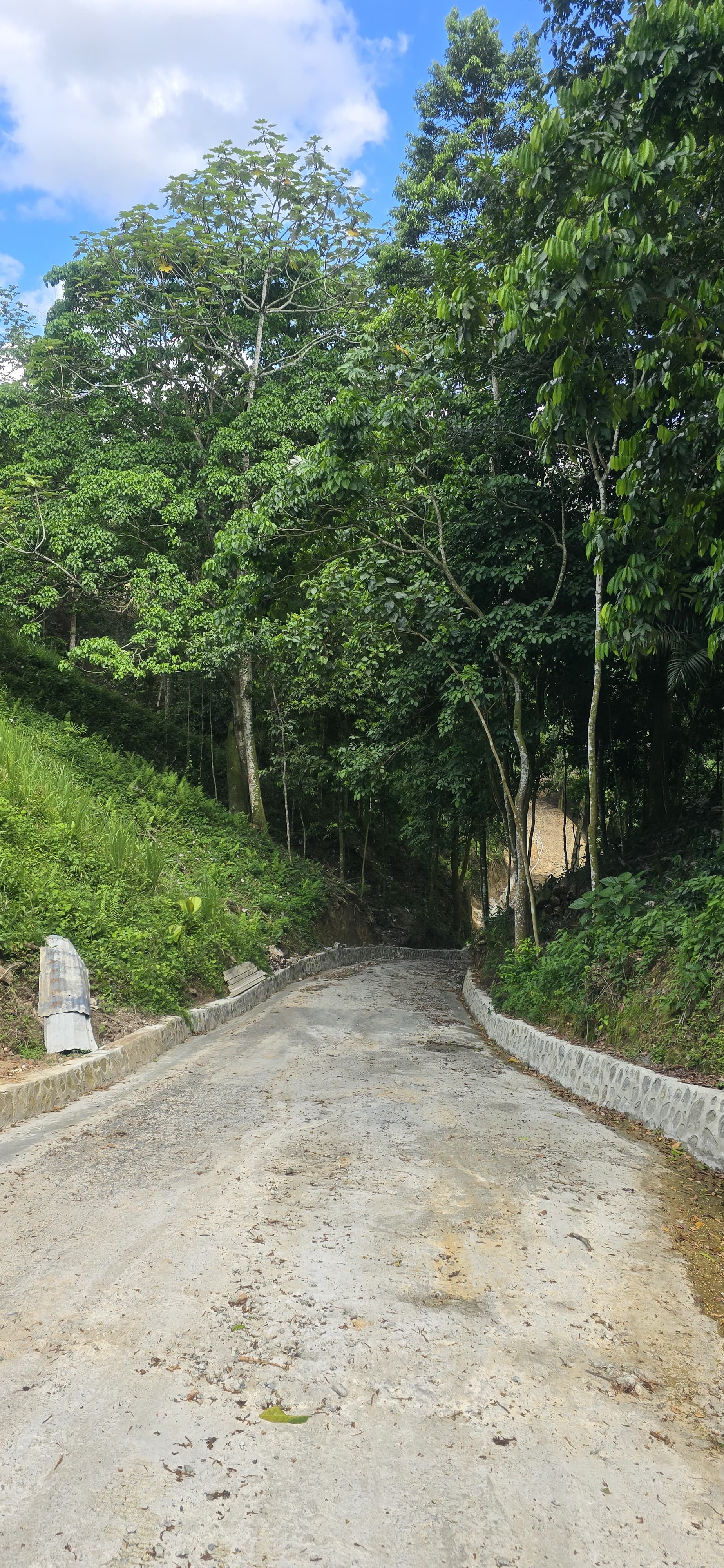 Venta de Terrenos residencial y ecoturísticos en Jarabacoa. Foto 7304184-8.jpg