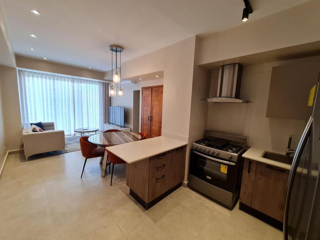 Apartamento en Renta en La Esperilla Santo Domingo  Foto 7304316-4.jpg