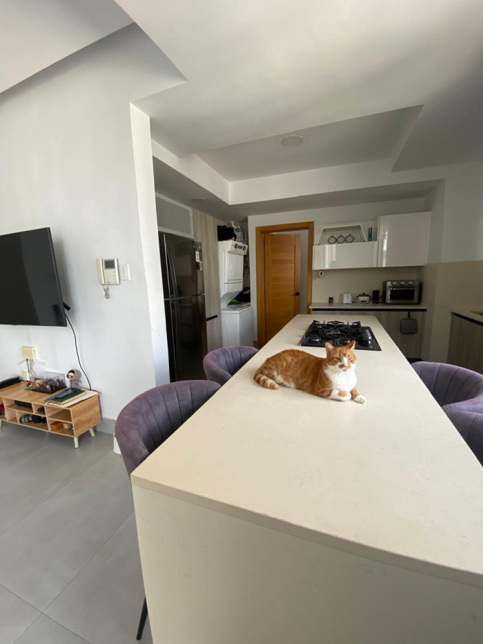 Apartamento en Alquiler Linea Blanca Evaristo Morales Foto 7304336-8.jpg
