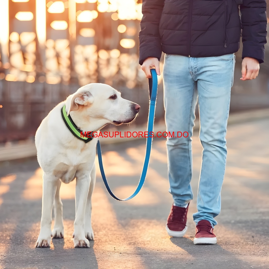  Collar Solar LED para Perro Iluminado Seguridad Nocturna 40cm/50cm Foto 7304741-8.jpg