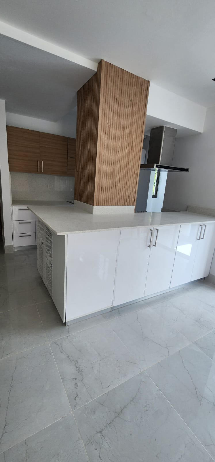 ???? Apartamento en Renta en los Cerros de Gurabo R.D. Foto 7304788-10.jpg