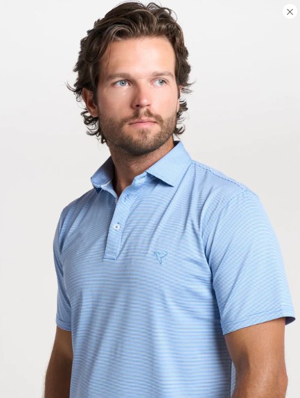 Polos Marca birddogs. Foto 7304806-3.jpg