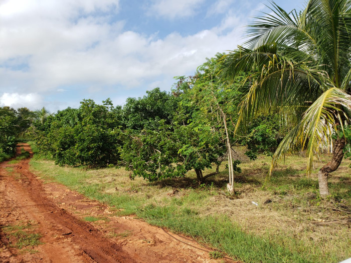 Finca en Venta de 38257 metros en Hatillo San Cristobal  Foto 7304852-1.jpg