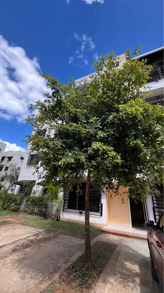Apartamento en alquiler en Ciudad Juan Bosch de 3 habitaciones Foto 7305054-1.jpg