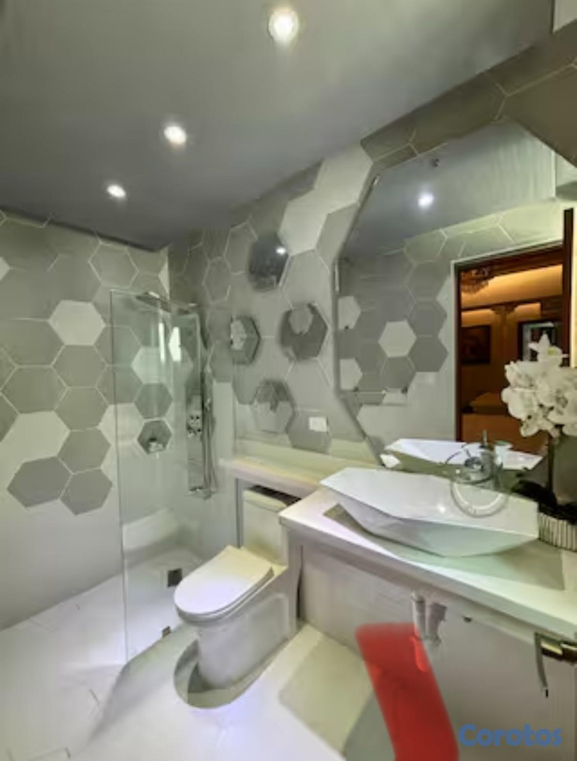 Apartamento amueblado en alquiler en Alma Rosa de 1 habitacion Foto 7305062-4.jpg