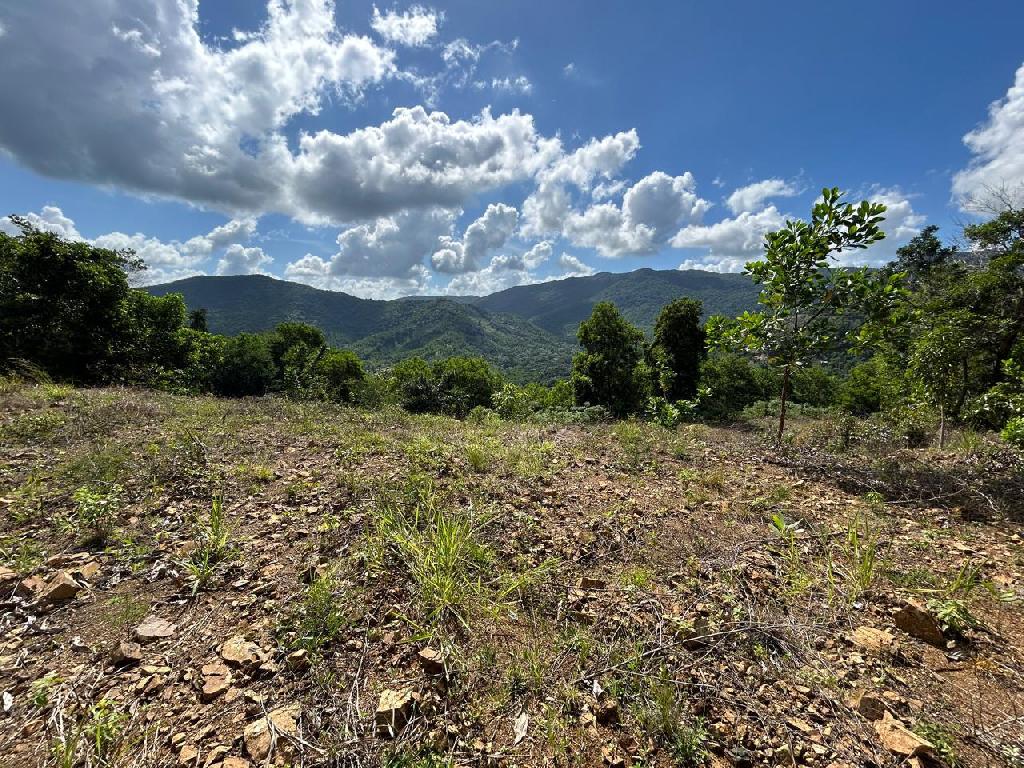 Vendo 3140 M2.  En el Limón. Próximo a la cuaba. Terreno de Montaña. Foto 7305990-1.jpg