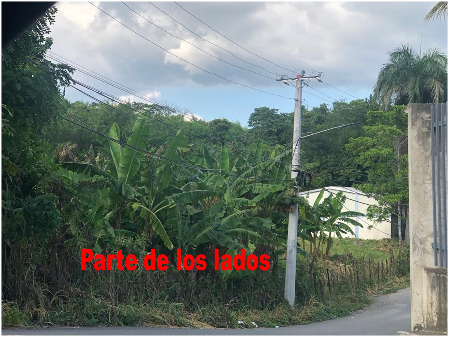 VENDO 12000 Mts.2 en la MISMA AUTOPISTA DUARTE Km 18 de OPORTUNIDAD Foto 7306252-3.jpg