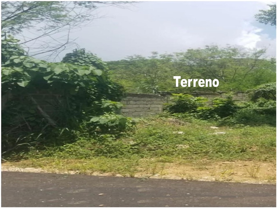 Vendo 11500 Mts.2 en PARQUE INDUSTRIAL CAYACOA Km 18 a 200 Mts. Autopi Foto 7306253-2.jpg