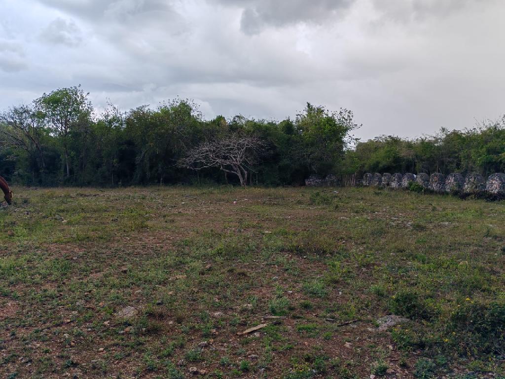 Vendo 14000 Mts.2 de Terreno JUSTO AL LADO de GUAVABERRY en Juan Dolio Foto 7308445-4.jpg