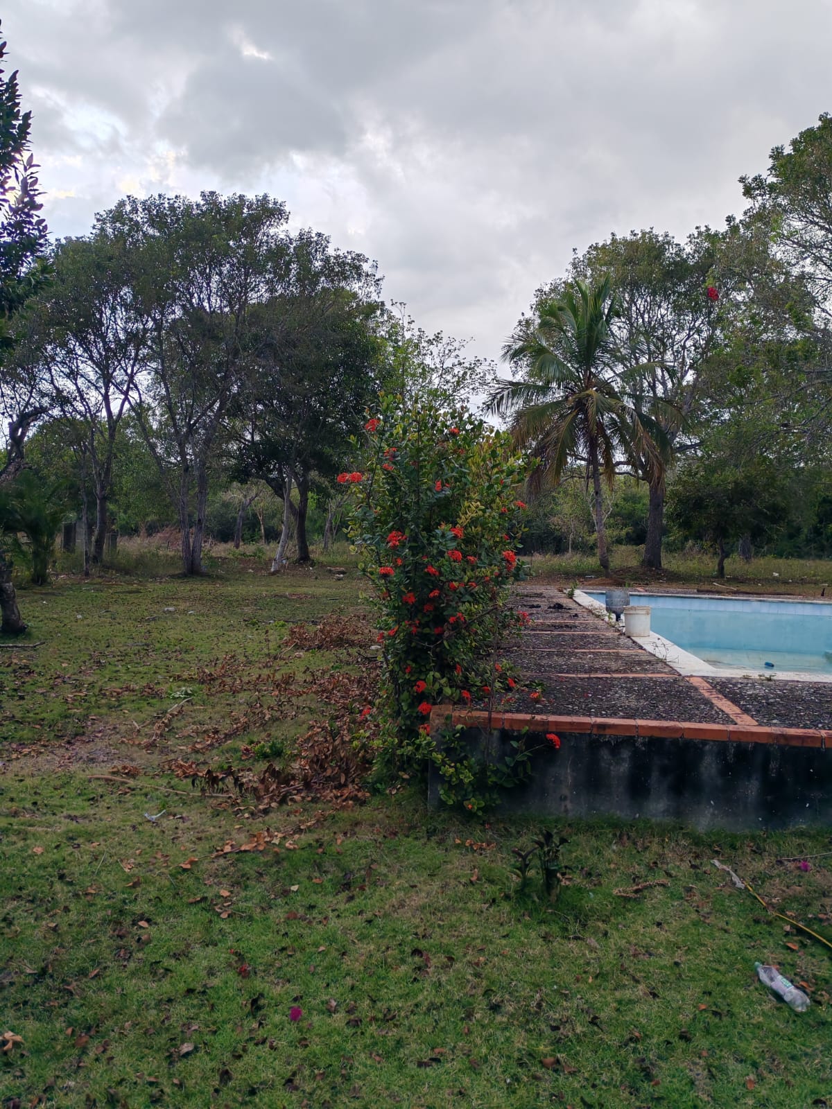Vendo 14000 Mts.2 de Terreno JUSTO AL LADO de GUAVABERRY en Juan Dolio Foto 7308445-6.jpg