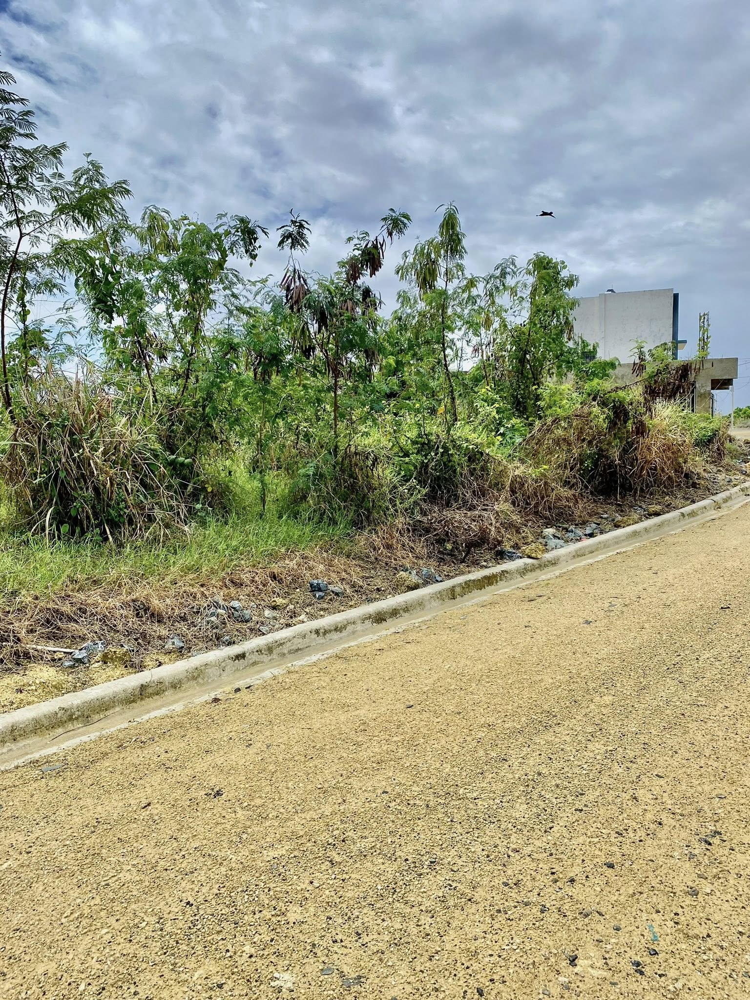 terreno de 193 m2 en venta residencial privado Foto 7308645-6.jpg