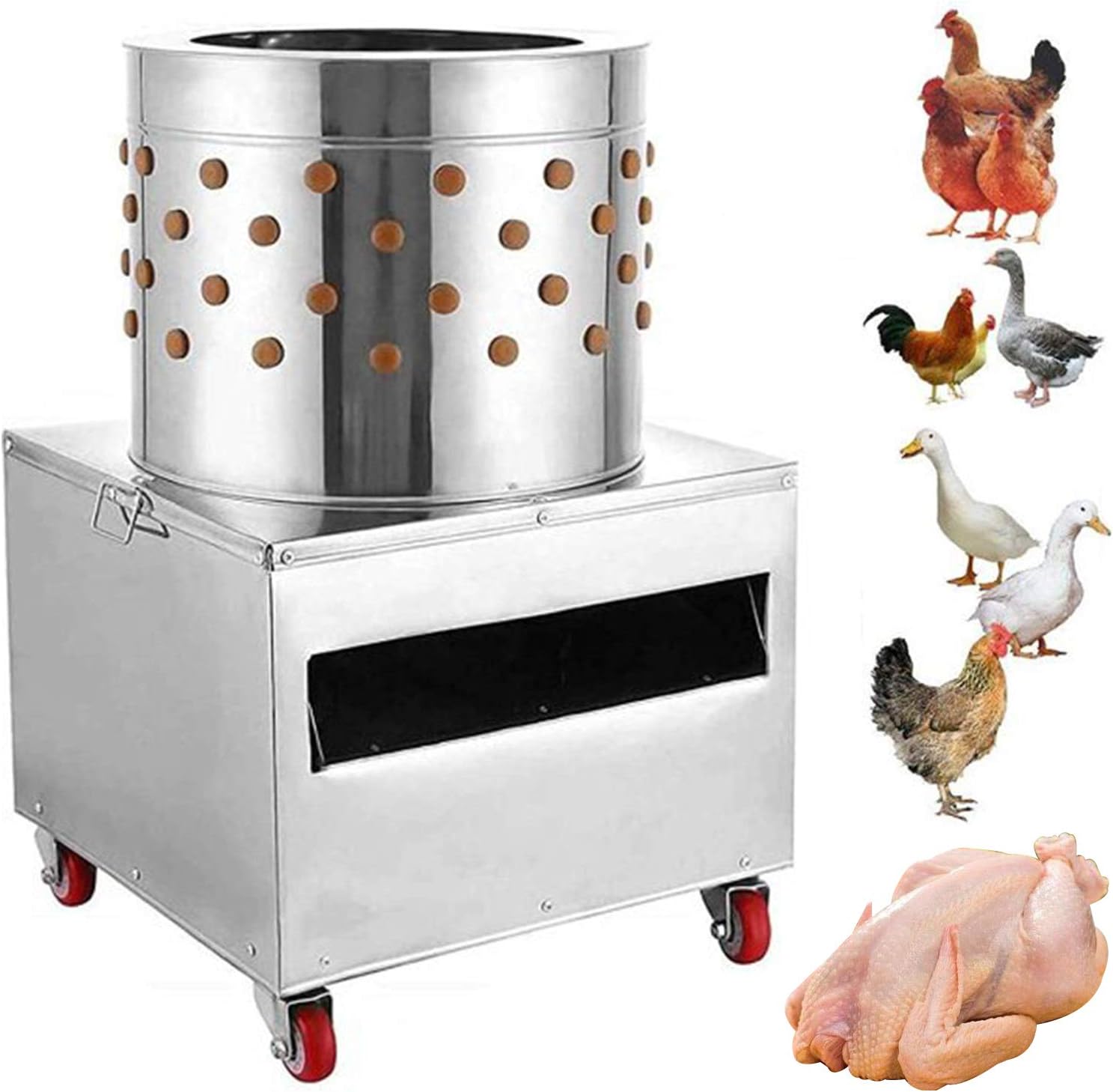 Desplumadora de pollos 20” 2HP acero inoxidable – Entrega inmediata RD Foto 7308956-1.jpg