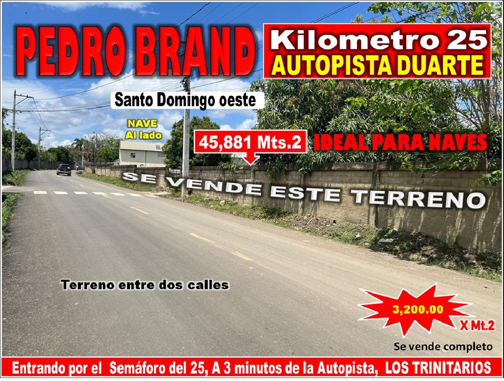 VENDO 45881Mts.2 de Terreno en PEDRO BRAND IDEAL PARA NAVES CALLE ASFA Foto 7310002-1.jpg