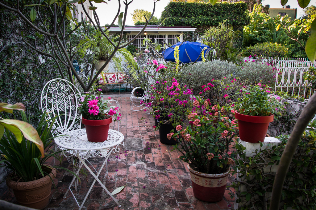 Apartamento Estudio Amueblado de Una Habitación con terraza Foto 7310152-8.jpg