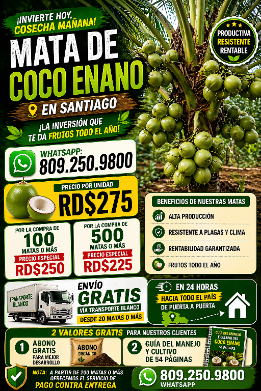 COCO ENANO DE ALTA PRODUCCIÓN   Foto 7310504-1.jpg