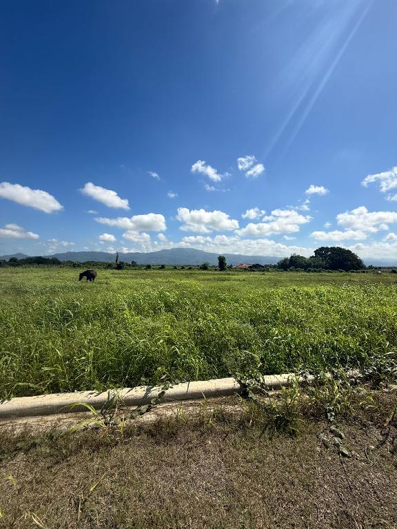 ????️ SOLARES EN VENTA  LAS CANELAS SANTIAGO ????️ Foto 7310619-1.jpg