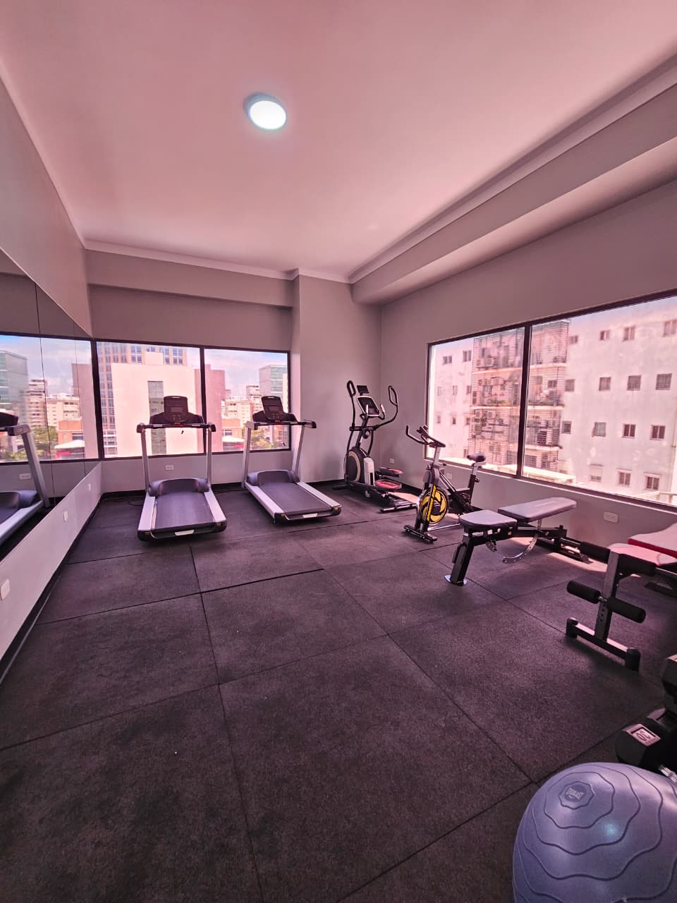 Apartamento Amueblado en Alquiler  Evaristo Morales   Foto 7313191-9.jpg
