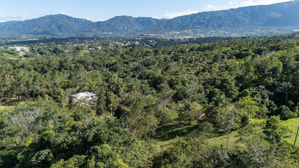 olar en Altos de la Floresta – Estancita Jarabacoa – 1331 m – Proyecto Foto 7313942-4.jpg