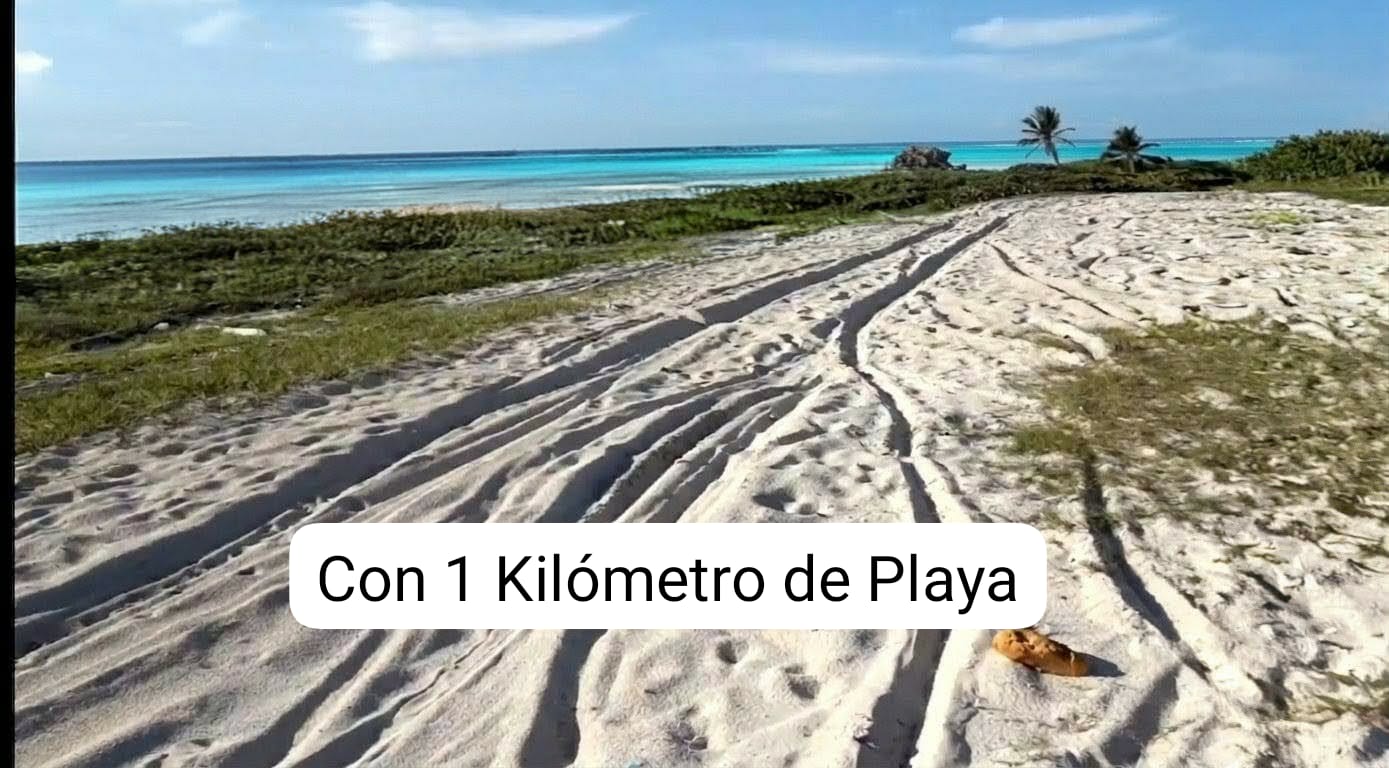 En Punta Cana Terreno en VENTA de 140000 metros con 1 Km de Playa y Co Foto 7314442-2.jpg
