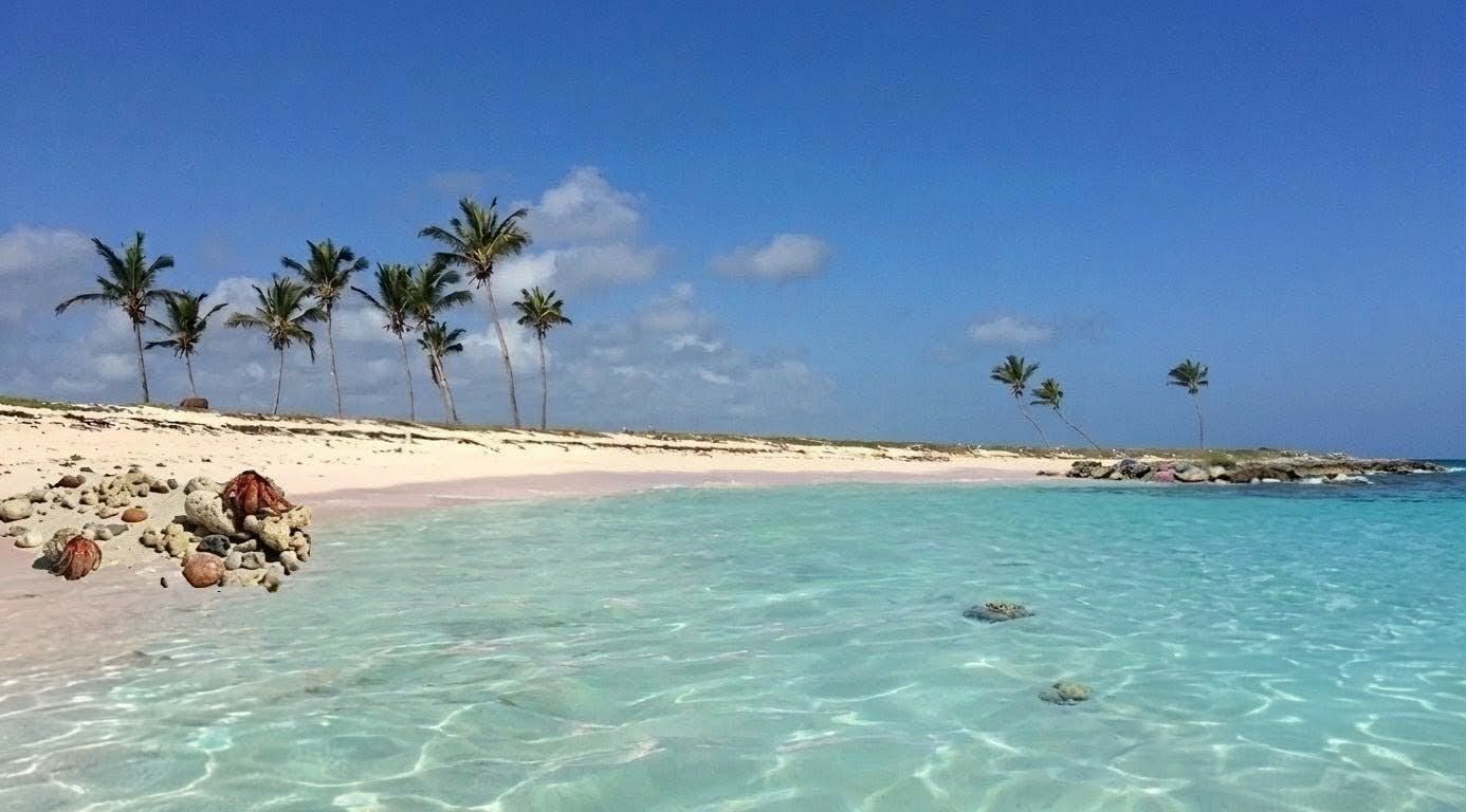 En Punta Cana Terreno en VENTA de 140000 metros con 1 Km de Playa y Co Foto 7314442-4.jpg