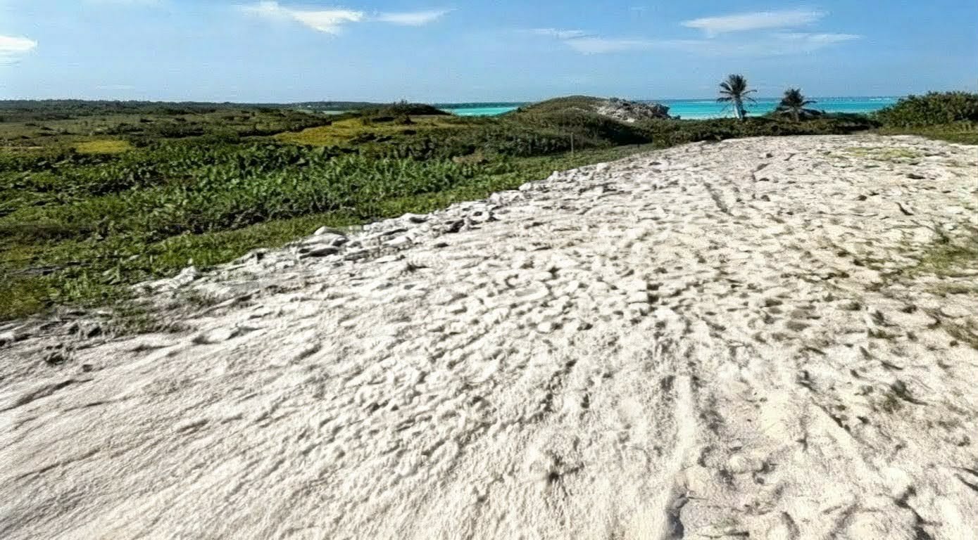 En Punta Cana Terreno en VENTA de 140000 metros con 1 Km de Playa y Co Foto 7314442-5.jpg