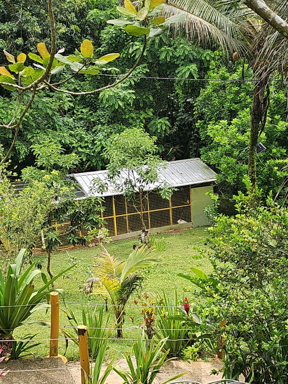Vendo casa en las montañas de Bonao rio y piscina natural  Foto 7314544-9.jpg