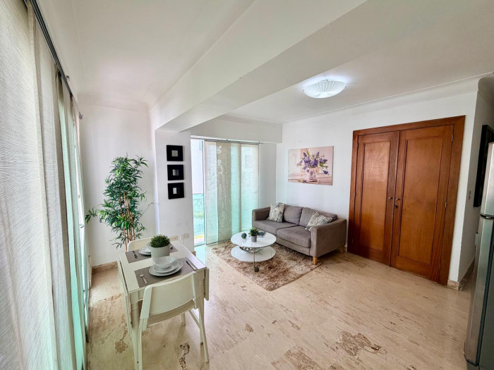 Apartamento Amueblado en Venta en Naco Foto 7314685-4.jpg