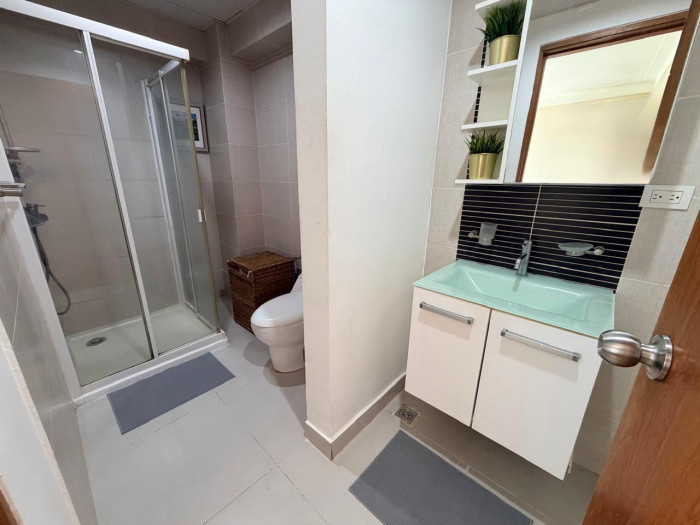 Apartamento Amueblado en Venta en Naco Foto 7314685-7.jpg
